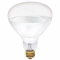 Westinghouse 250 watt R40 Incandescent Soft Glass Infrared Heat Light Bulb 391000